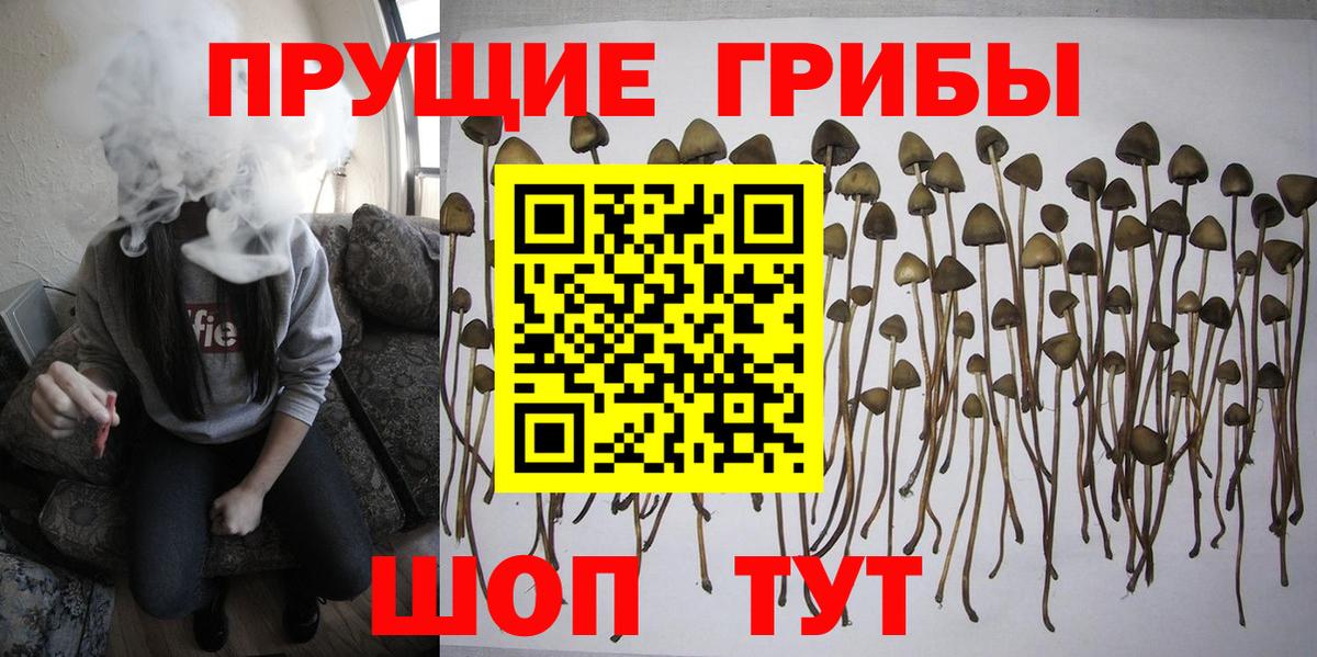 Псилоцибиновые грибы Magic Shrooms  Вход с VPN  Псилоцибиновые грибы ЛСД  Раменское 